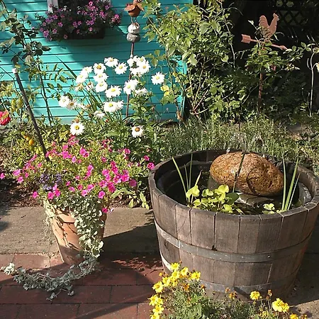 فندق St. Georg Garni